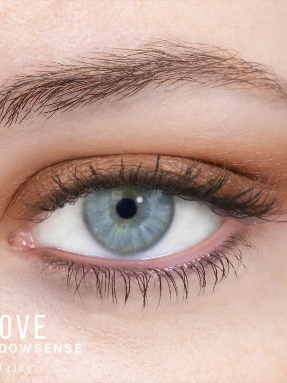 Clove ShadowSense - Picture 3 of 5